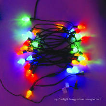 LED Twinkle Lights